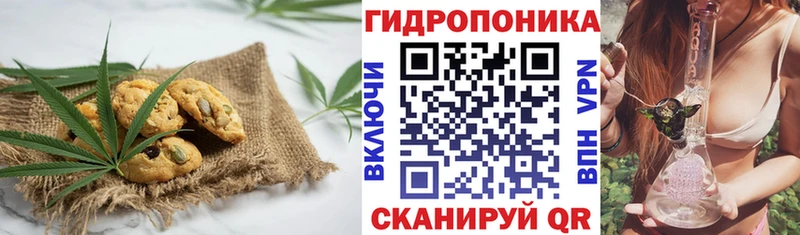 где можно купить наркотик  Краснозаводск  Печенье с ТГК конопля 