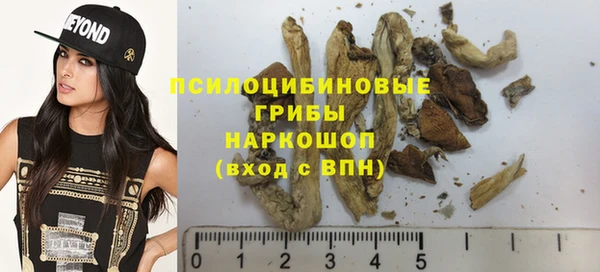 крисы Абинск