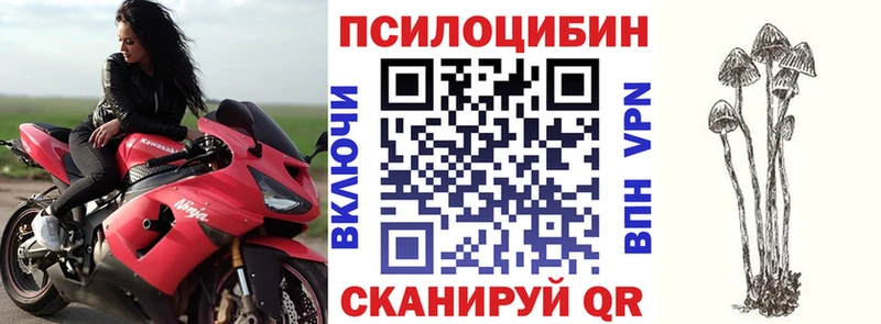 Галлюциногенные грибы GOLDEN TEACHER  Краснозаводск 